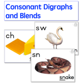 https://teachingresources.co.za/product/consonant-digraphs-blends/